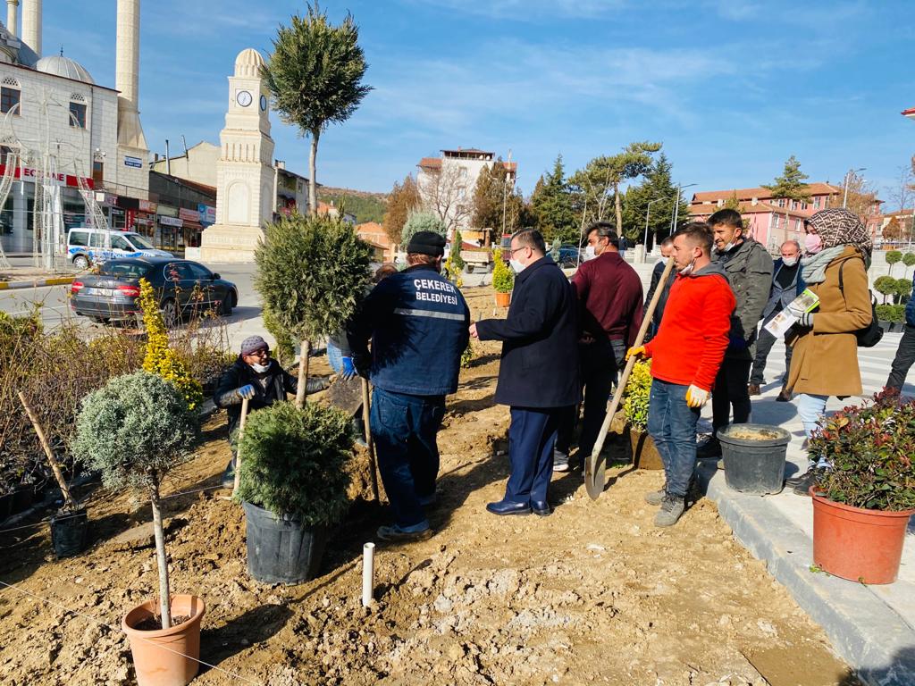 Çekerek Belediye ekipleri sokağa çıkma kısıtlamasını fırsata çevirerek Orman İşletme