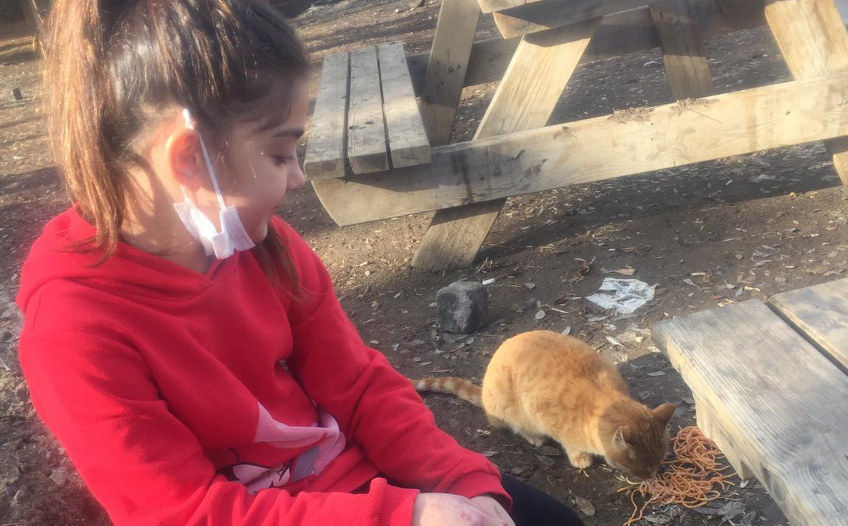 81 ilde yaşanan pandemi sürecinde Yozgatlı minikler sokak hayvanlarını besleyerek