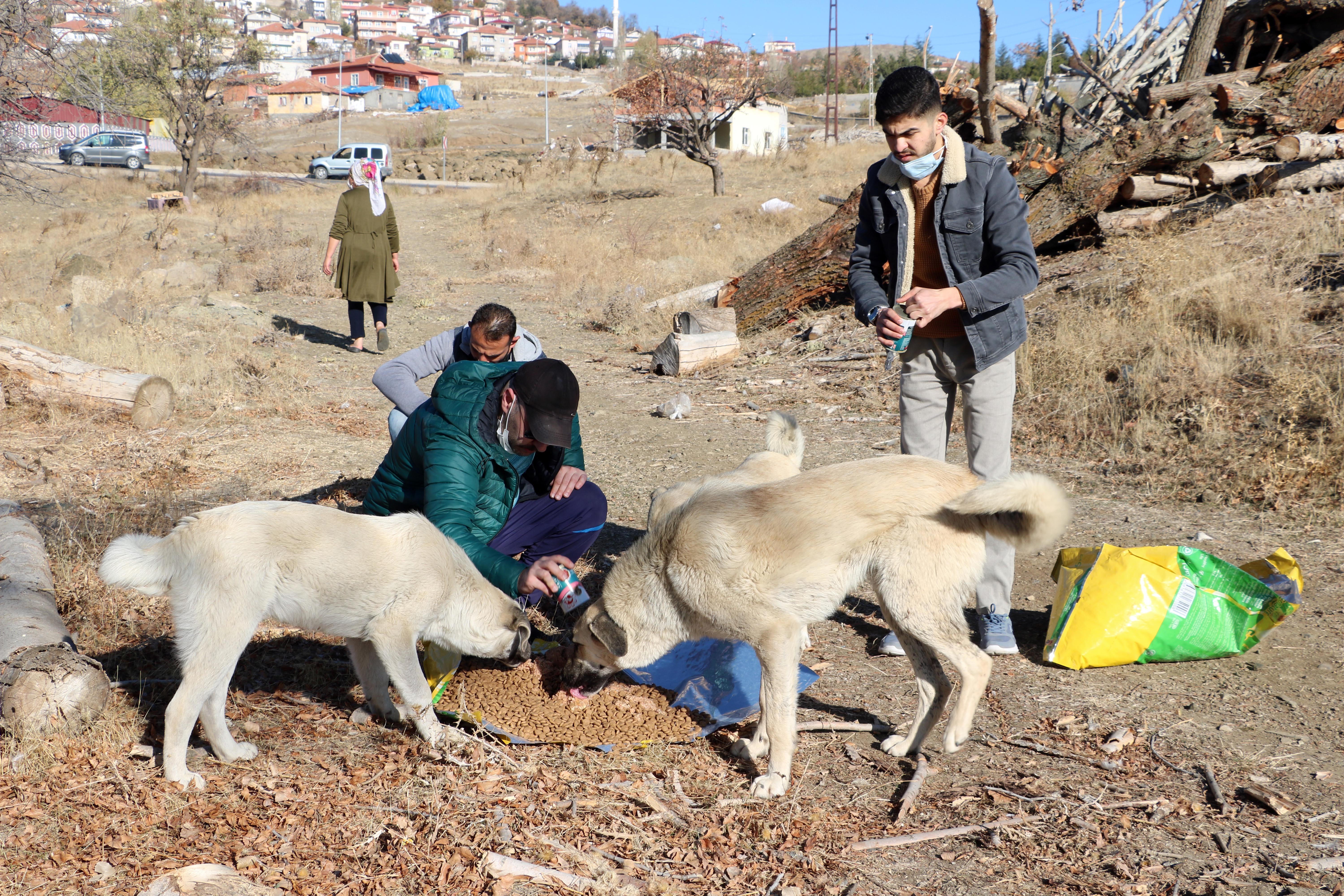 Yozgat’ta bir grup hayvansever, korona virüs salgını tedbirleri kapsamında sokağa