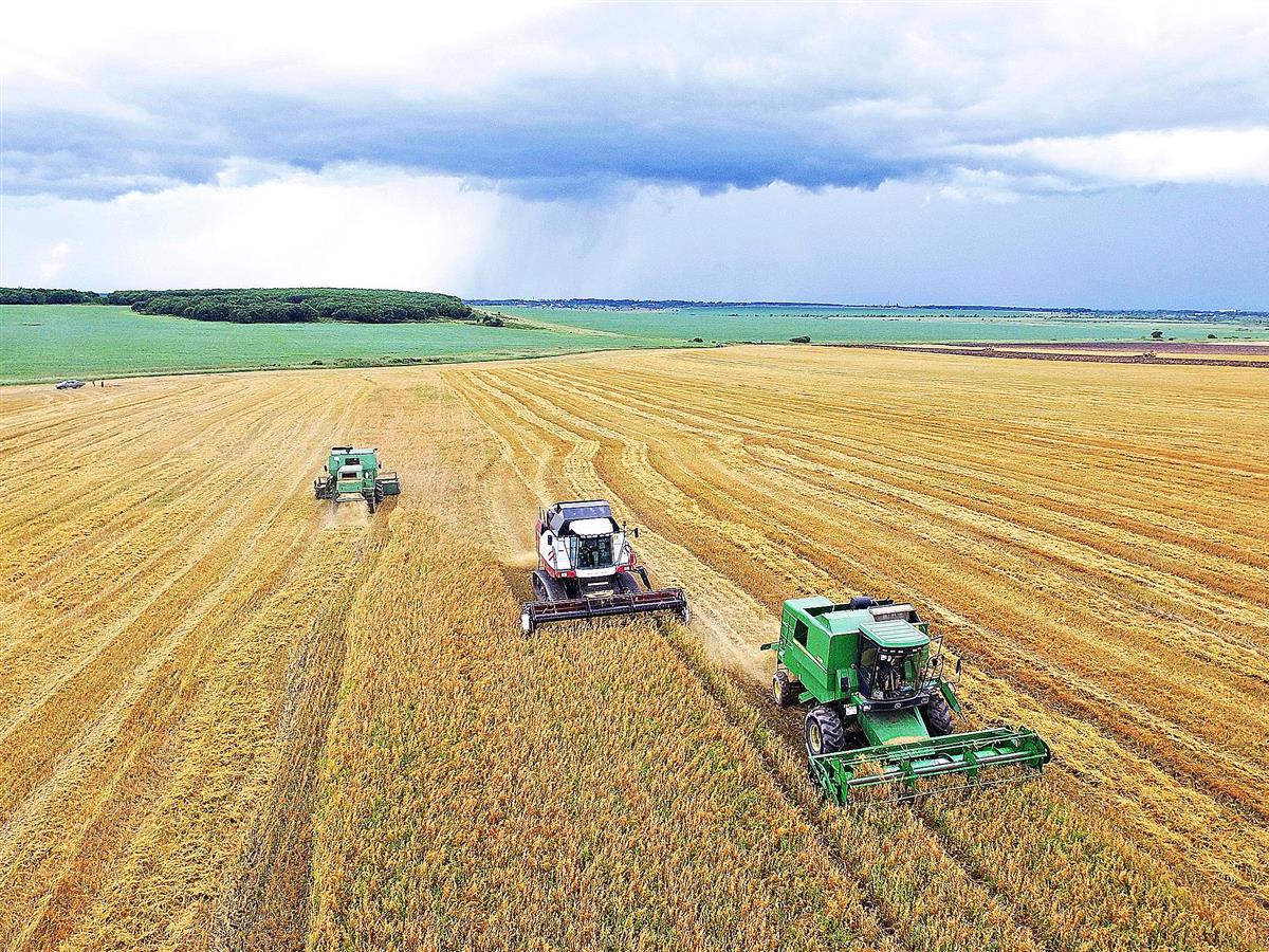 Yozgat İl Tarım ve Orman Müdürlüğü tarafından, Kırsal Kalkınma Yatırımlarının