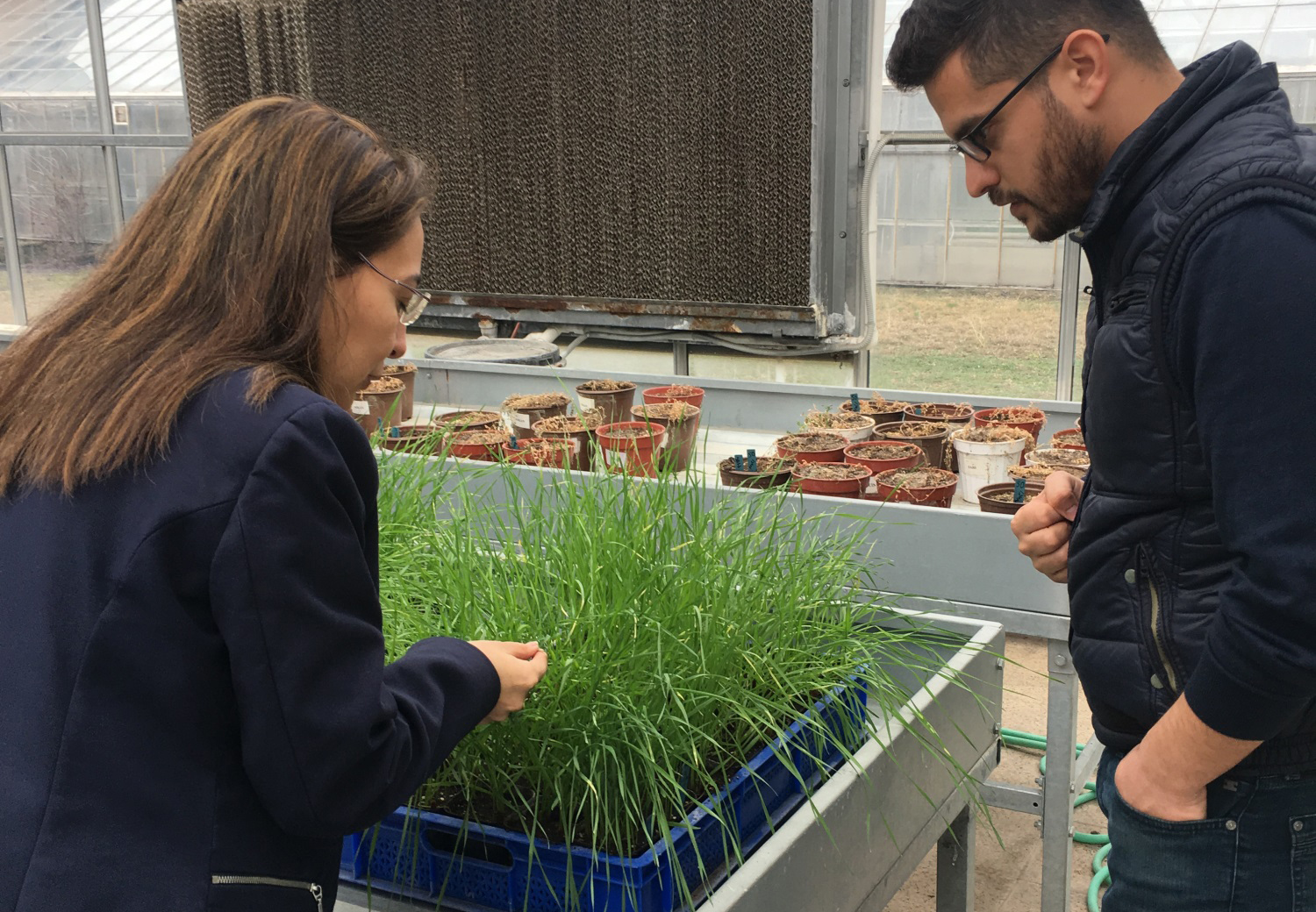 TÜBİTAK Araştırma Destekleme Programları Başkanlığı (ARDEB) 1002-Hızlı Destek Programı kapsamında