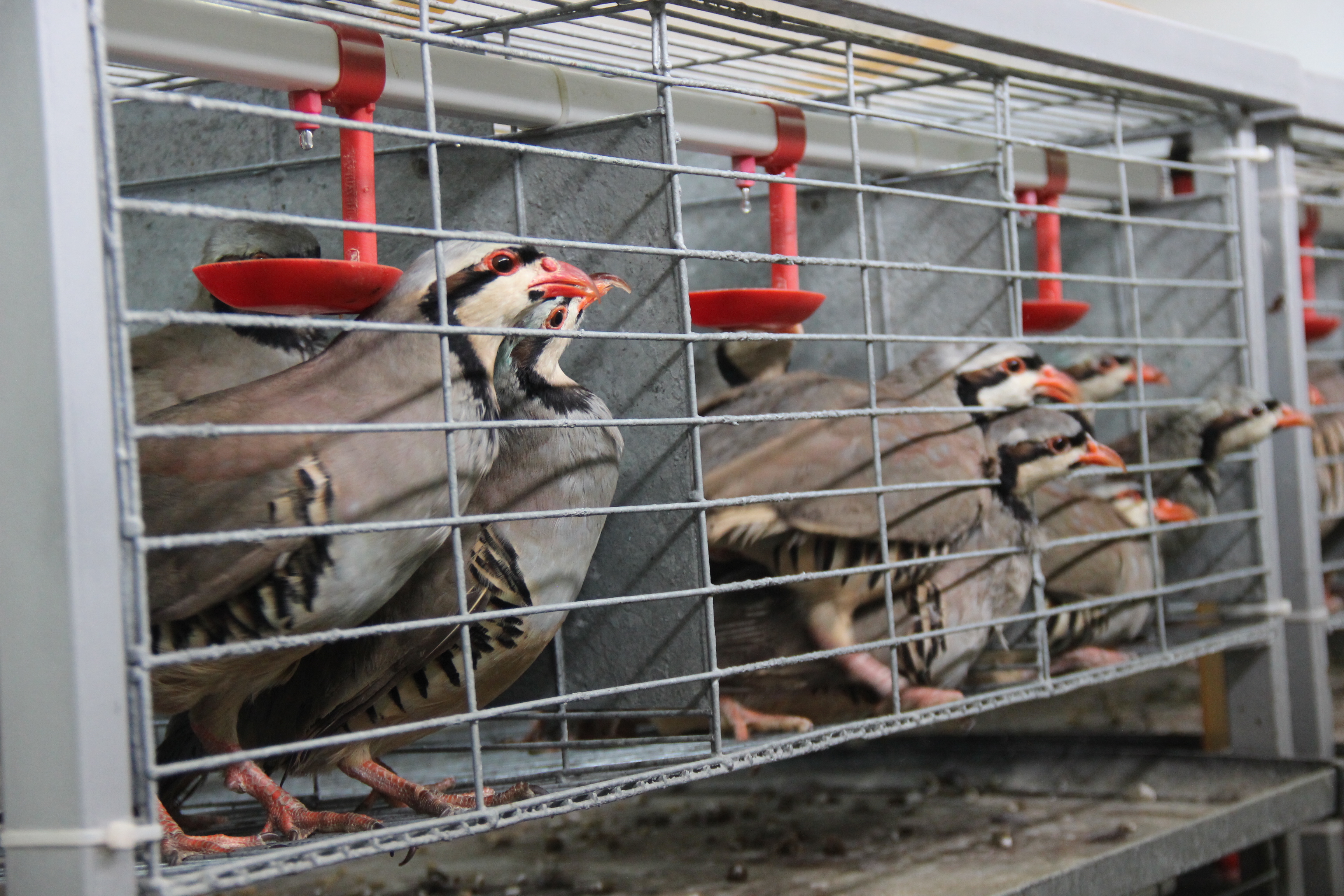 Tarım ve Orman Bakanlığı 9. Bölge Müdürlüğü Yozgat Şube Müdürlüğüne