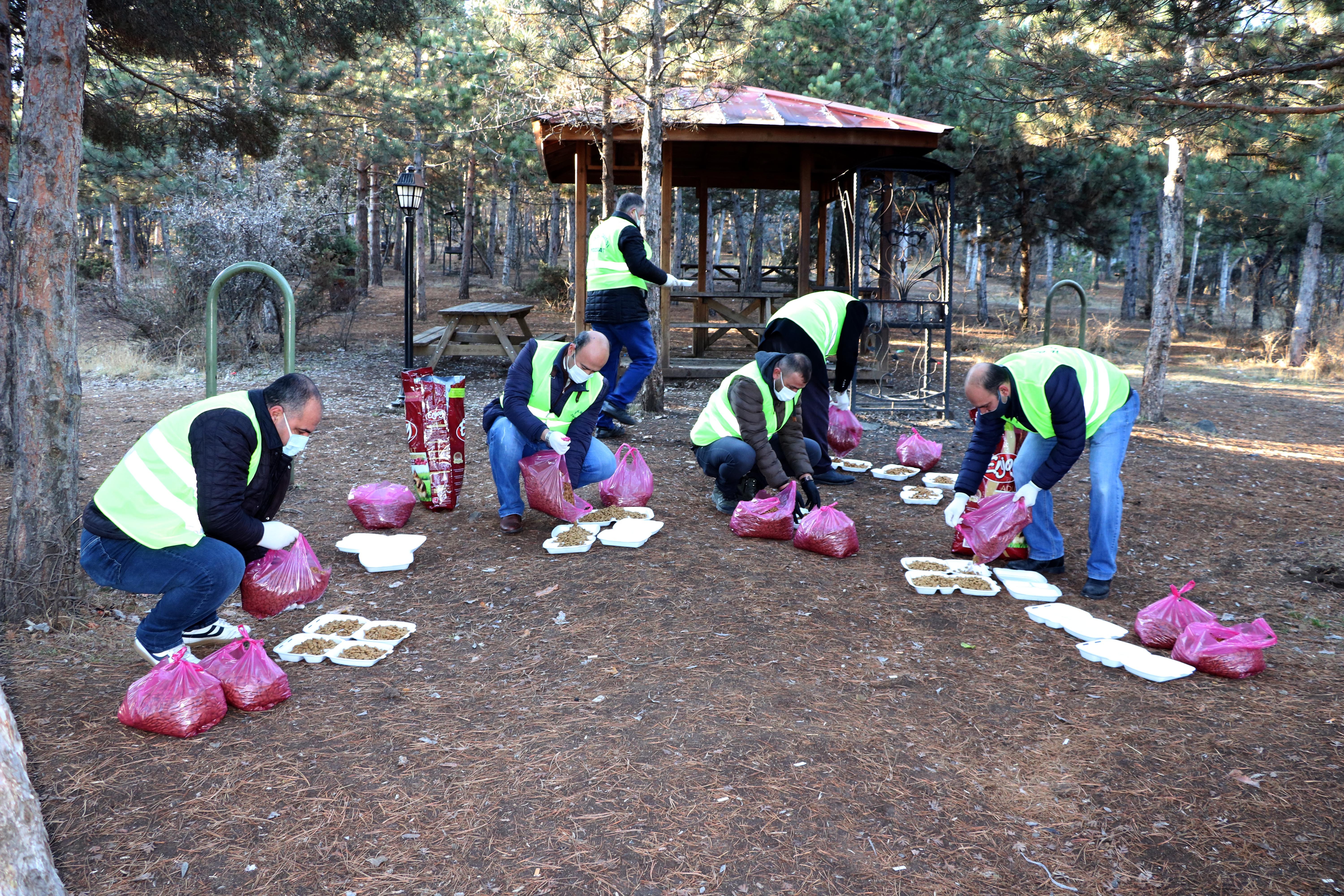 Korona virüs salgını nedeniyle yiyecek bulmakta sıkıntı çeken sokak hayvanları