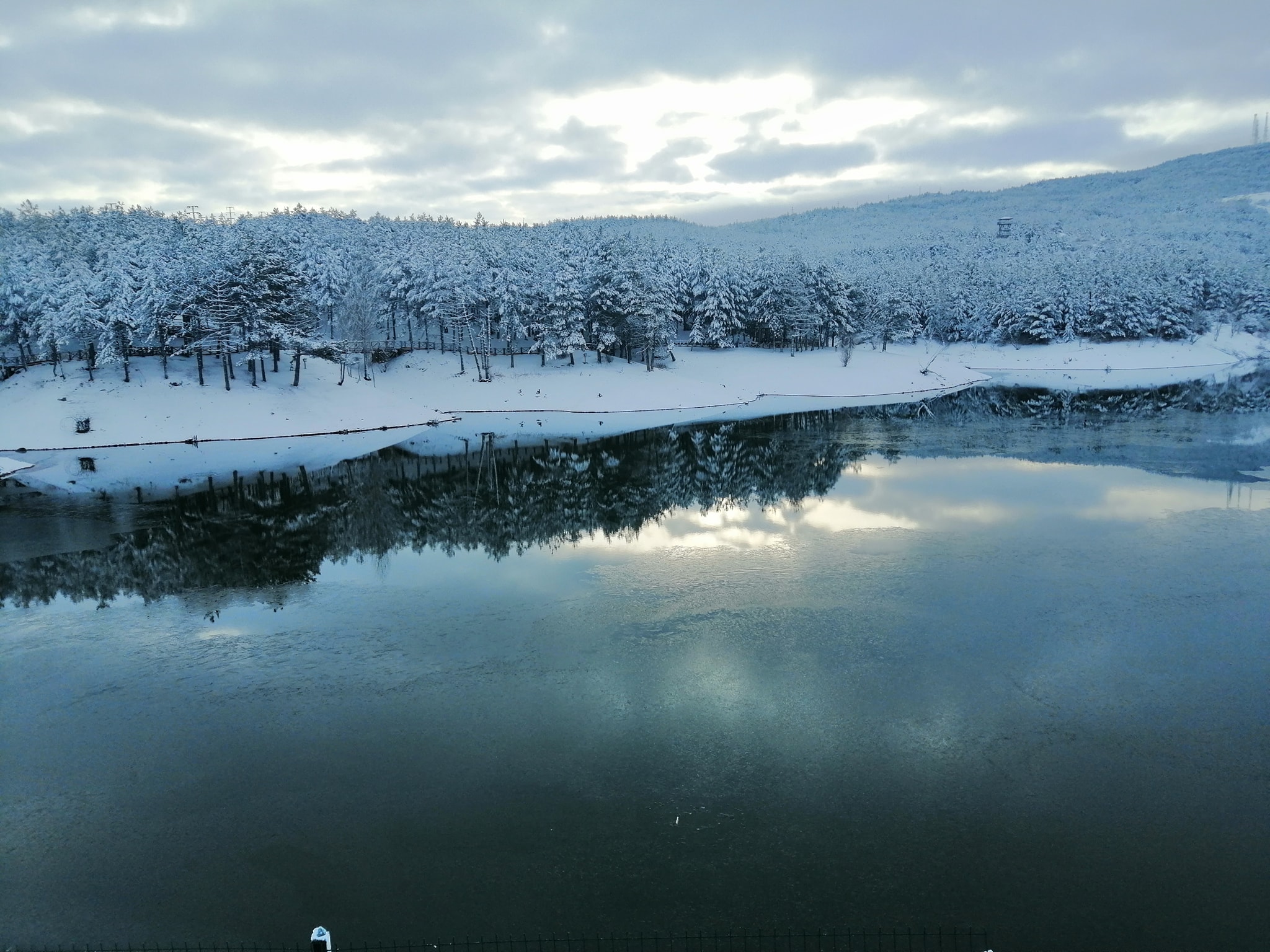 Yozgat Çamlığı Milli Parkı’nın yağan kar yağışı ile beyaza bürünmesi