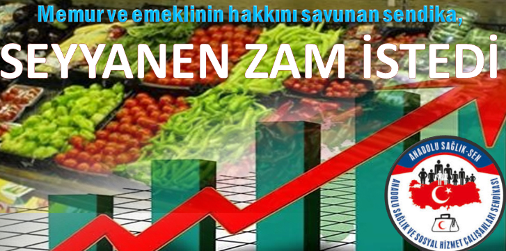 Anadolu Sağlık ve Sosyal Hizmet Çalışanları Sendikası (Anadolu Sağlık Sen)