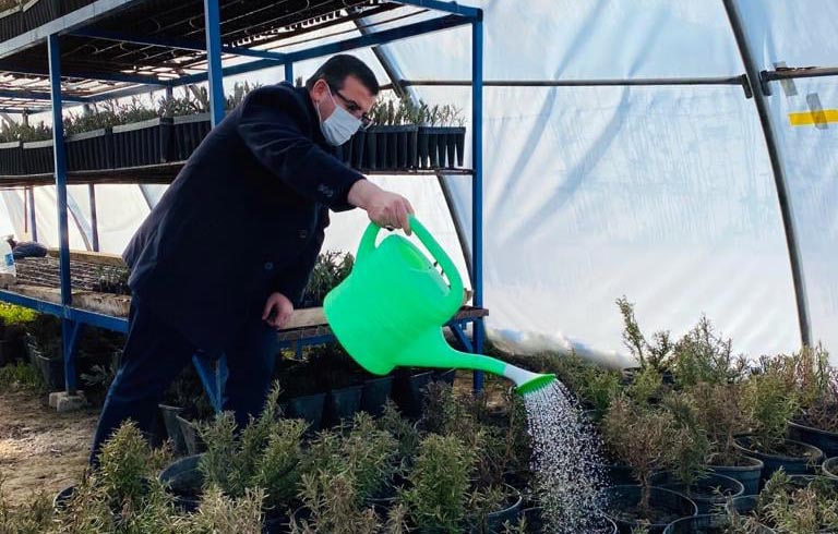 Çekerek Belediyesi tarafından kurulan her mevsim seraların da tıbbi aromatik