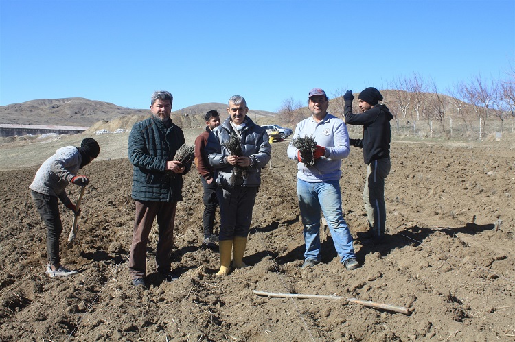 Yozgat İl Tarım ve Orman Müdürlüğü tarafından Merkez Sarıhacılı Mahallesinde