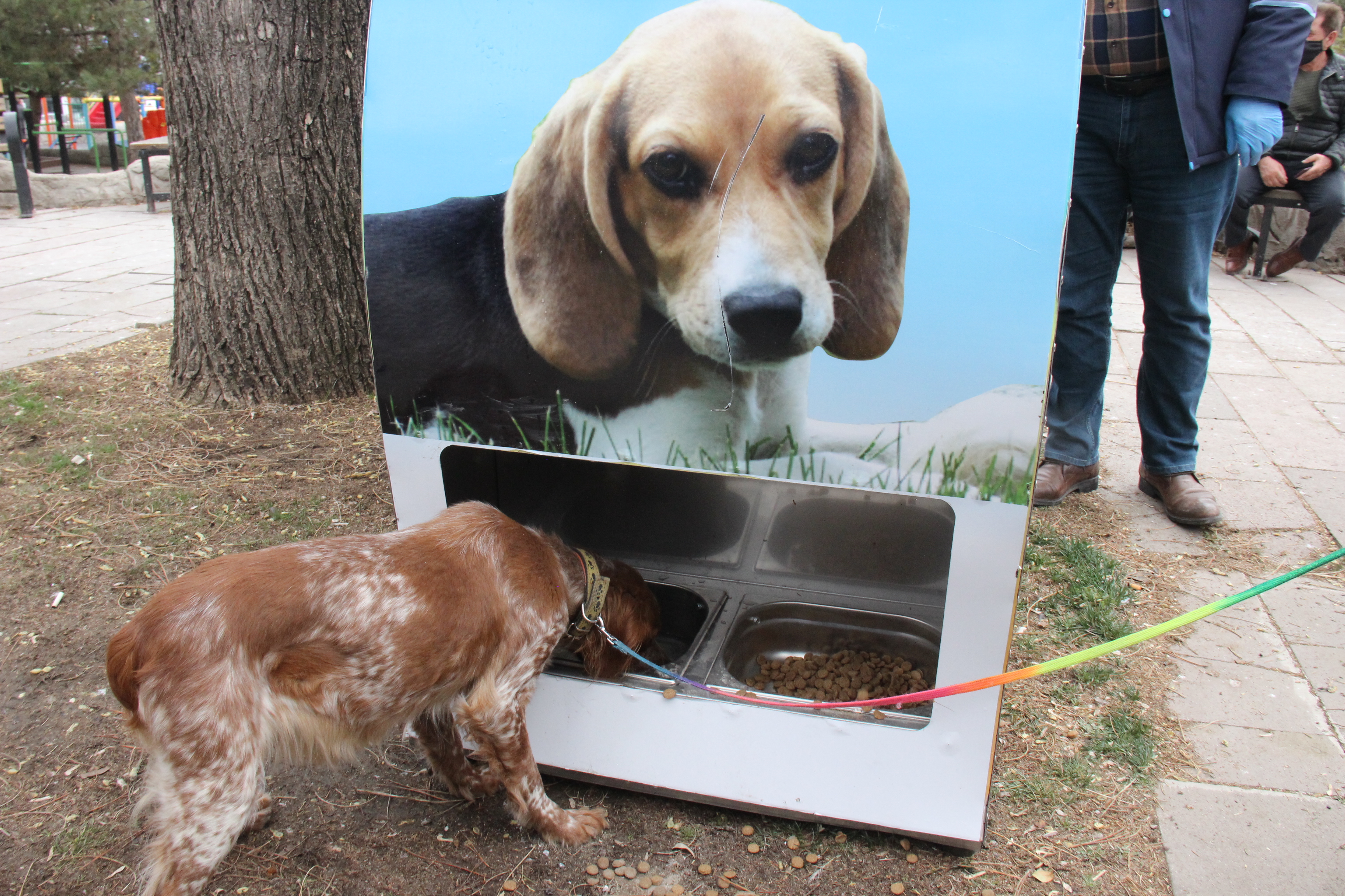 Yozgat Valiliği, Yozgat Belediyesi ve Tarım ve orman Bakanlığı’nın ortaklaşa