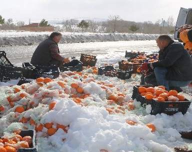 Yozgat’ta etkili olan kar ve tipi kazaları da beraberinde getirdi.