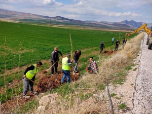 Fidanlar toprakla buluştu