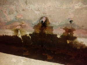 Yozgat’ta son yıllarda yaşanan kuraklık sebebiyle bazı köylerde çeşmelerin suyu