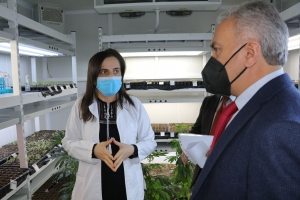 Kenevirin ülke ve Yozgat ekonomisine kazandırılması ve daha fazla katma