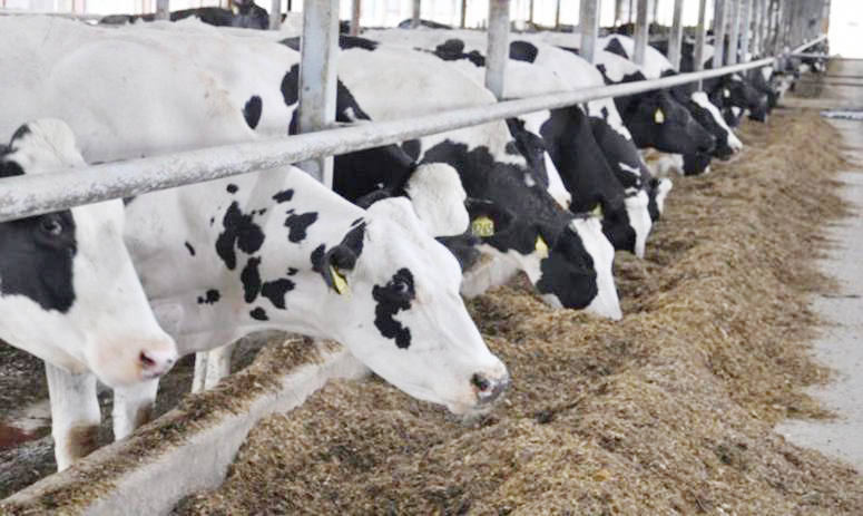 Yeni tip koronavirüs (Covid19) tedbirleri kapsamındaki tam kapanma sürecinde faaliyetine
