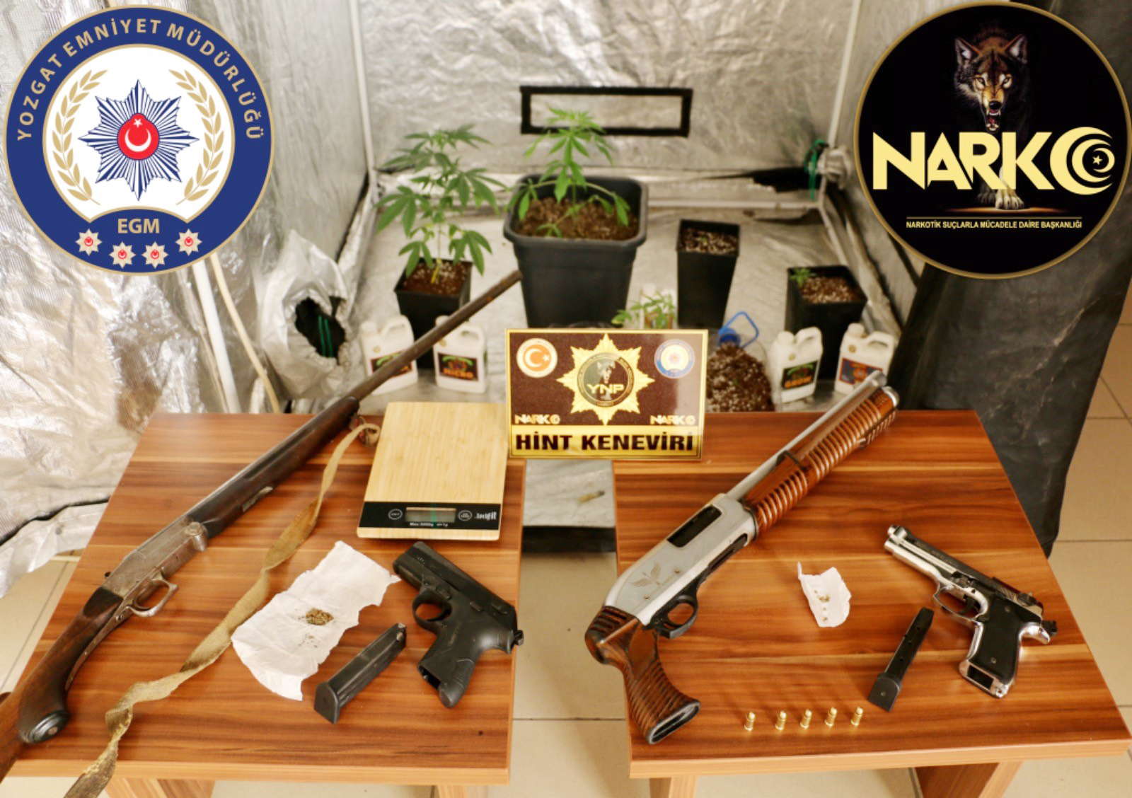 Sorgun Cumhuriyet Başsavcılığı ve Yozgat Narkotik Suçlarla Mücadele Şube Müdürlüğünce