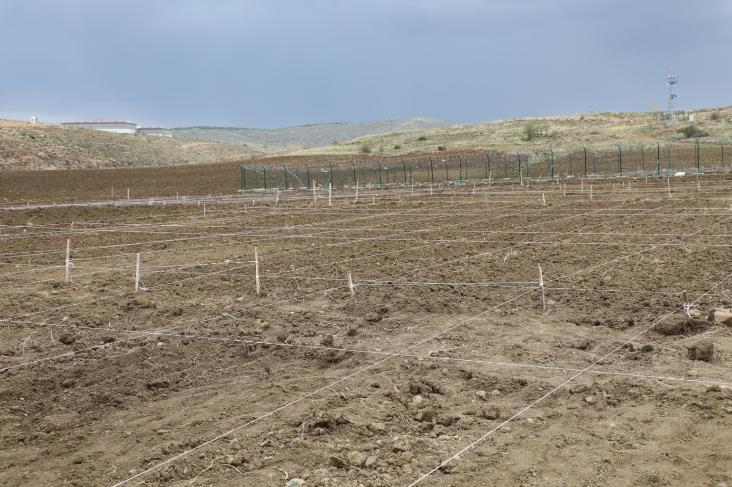 Kenevire dayalı sanayinin Yozgat ve yöresinde çeşitlenmesi, kenevirin bütün biyokütlesinin