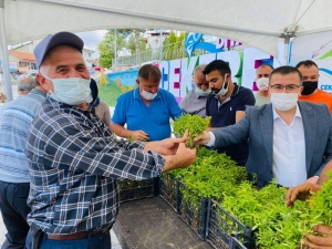 Çekerek Belediyesi, Fide üretim tesislerinde yöre çiftçisini üretime teşvik ve