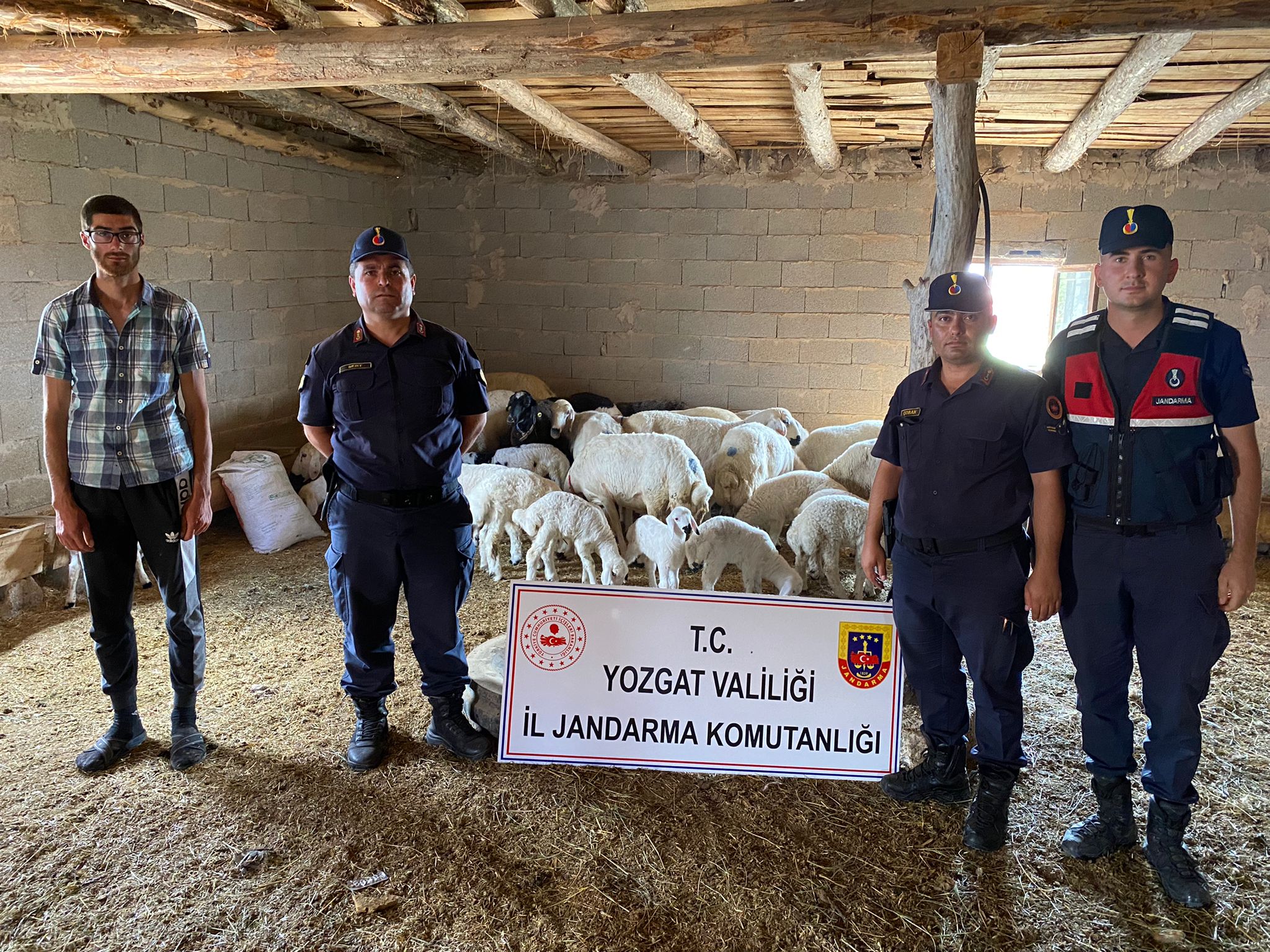 Yenifakılı'ya bağlı Bektaşlı Köyü'nde çalınan 30 adet küçükbaş hayvan, aynı