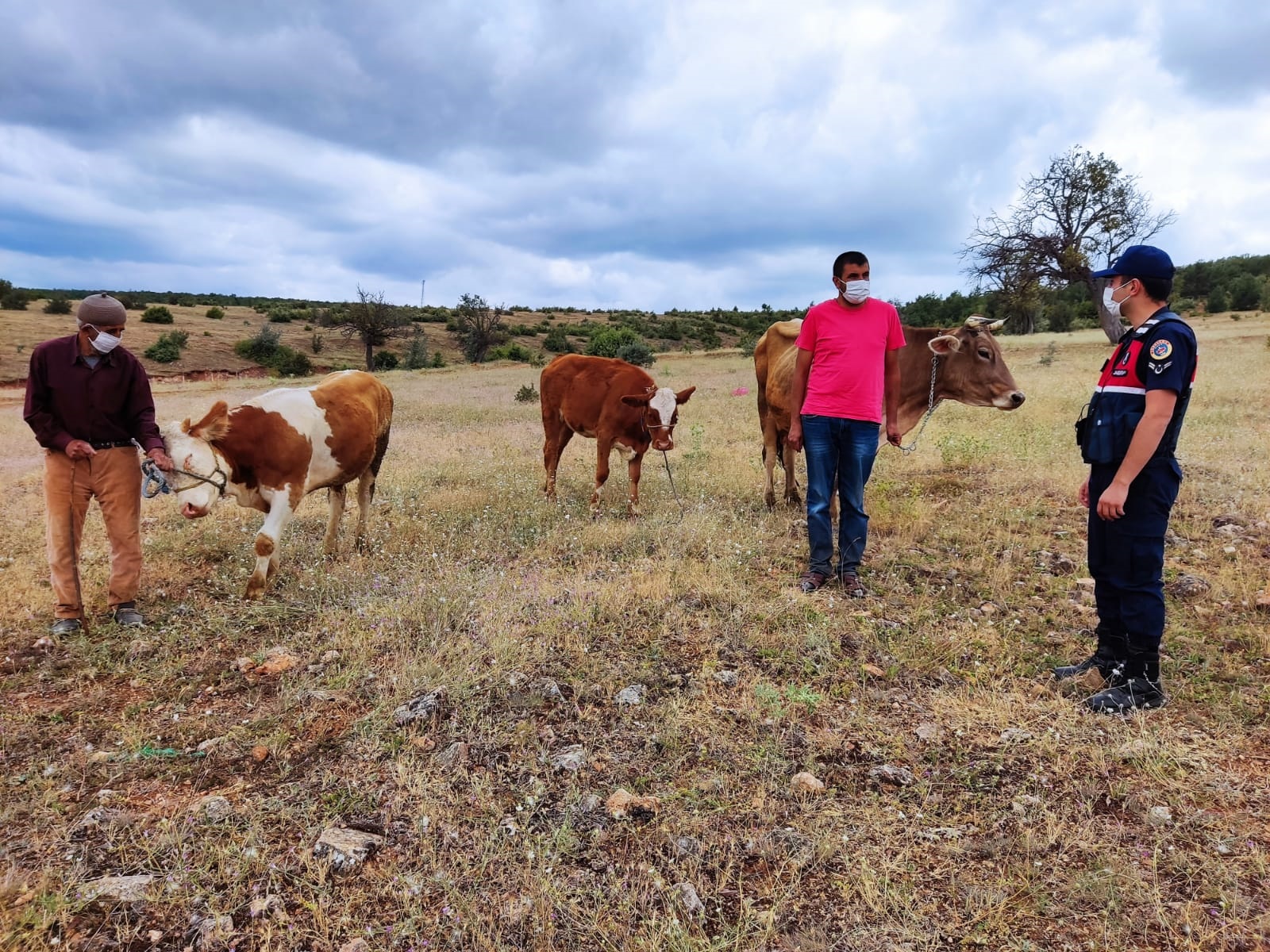 Akdağmadeni’ne bağlı Akbaş Köyü’nde çalınan 3 adet büyükbaş hayvan, jandarma
