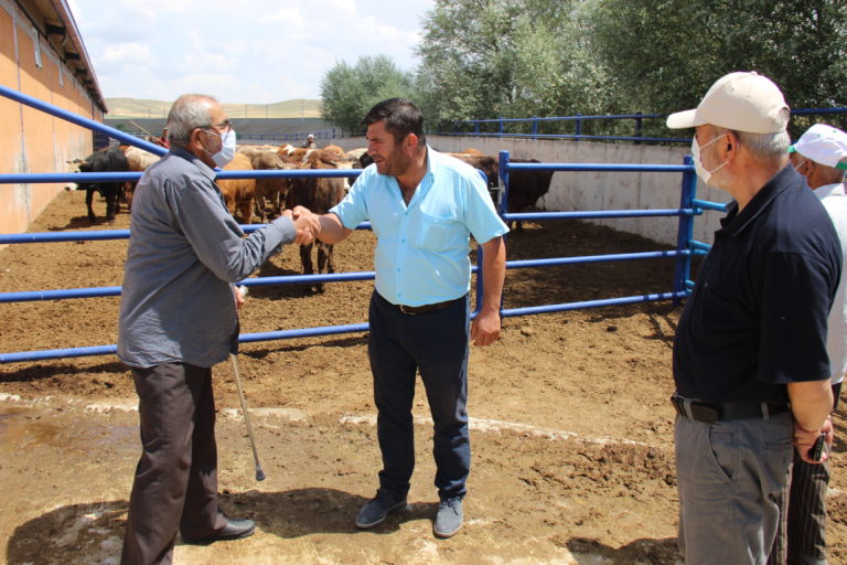 Kurban Bayramı'na sayılı günler kala, Yozgat’ta vatandaşlar kurbanını temin etmek
