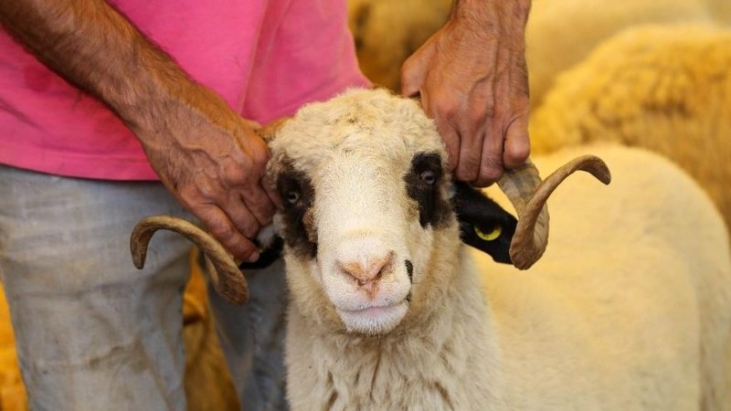 Yozgat Belediyesi tarafından merkezde kesilecek kurban kesim yerleri belirlendi.
