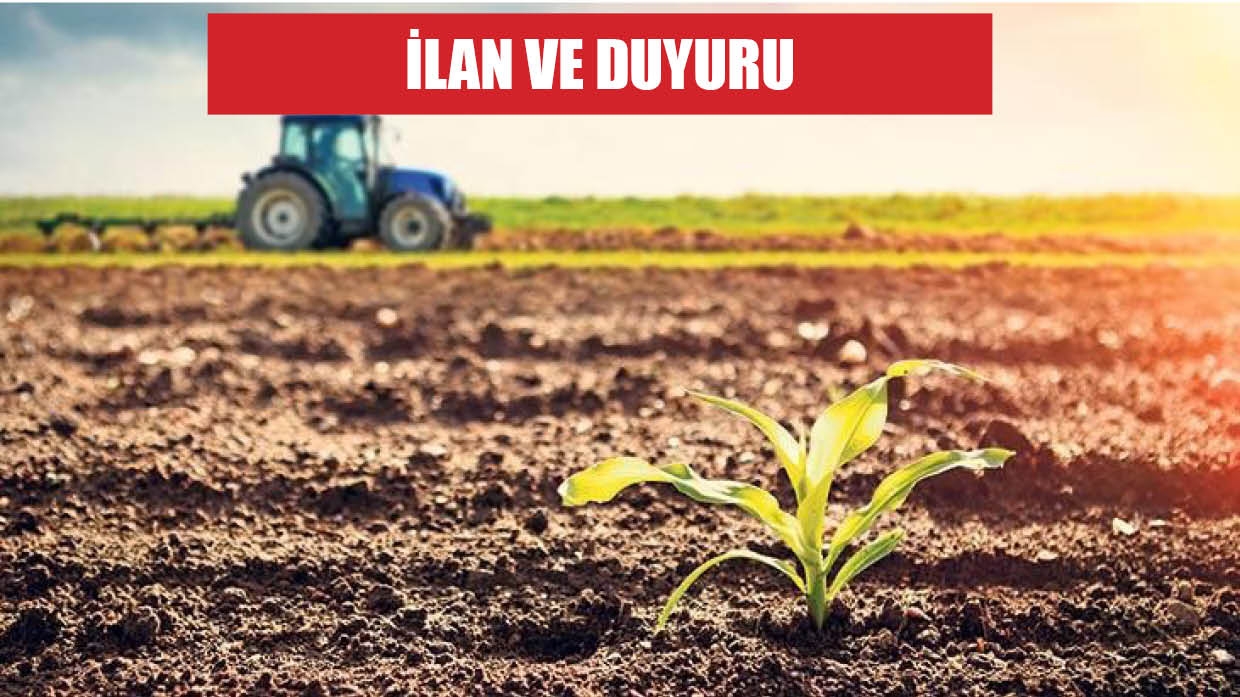 Yozgat İl, Sorgun İlçe, Osmaniye Köyü, 110 Ada, 25 Parsel,