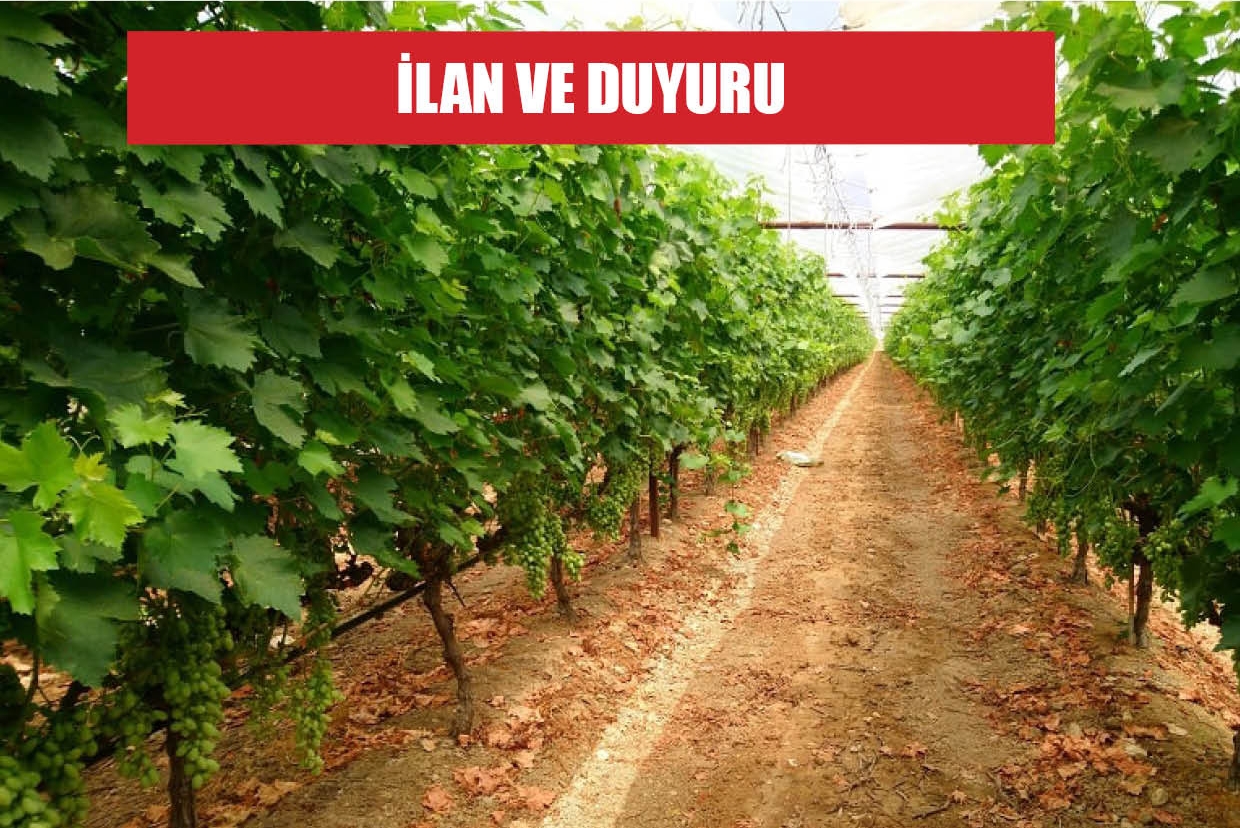 MODERN BAĞ TESİSİ KURULUMU yapım işi 4734 sayılı Kamu İhale Kanununun