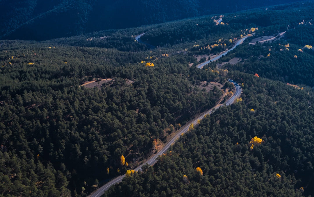 Akdağmadeni Belediye Başkanı Nezih Yalçın, vatandaşlarımızla birlikte ormanlarda özellikle yangın