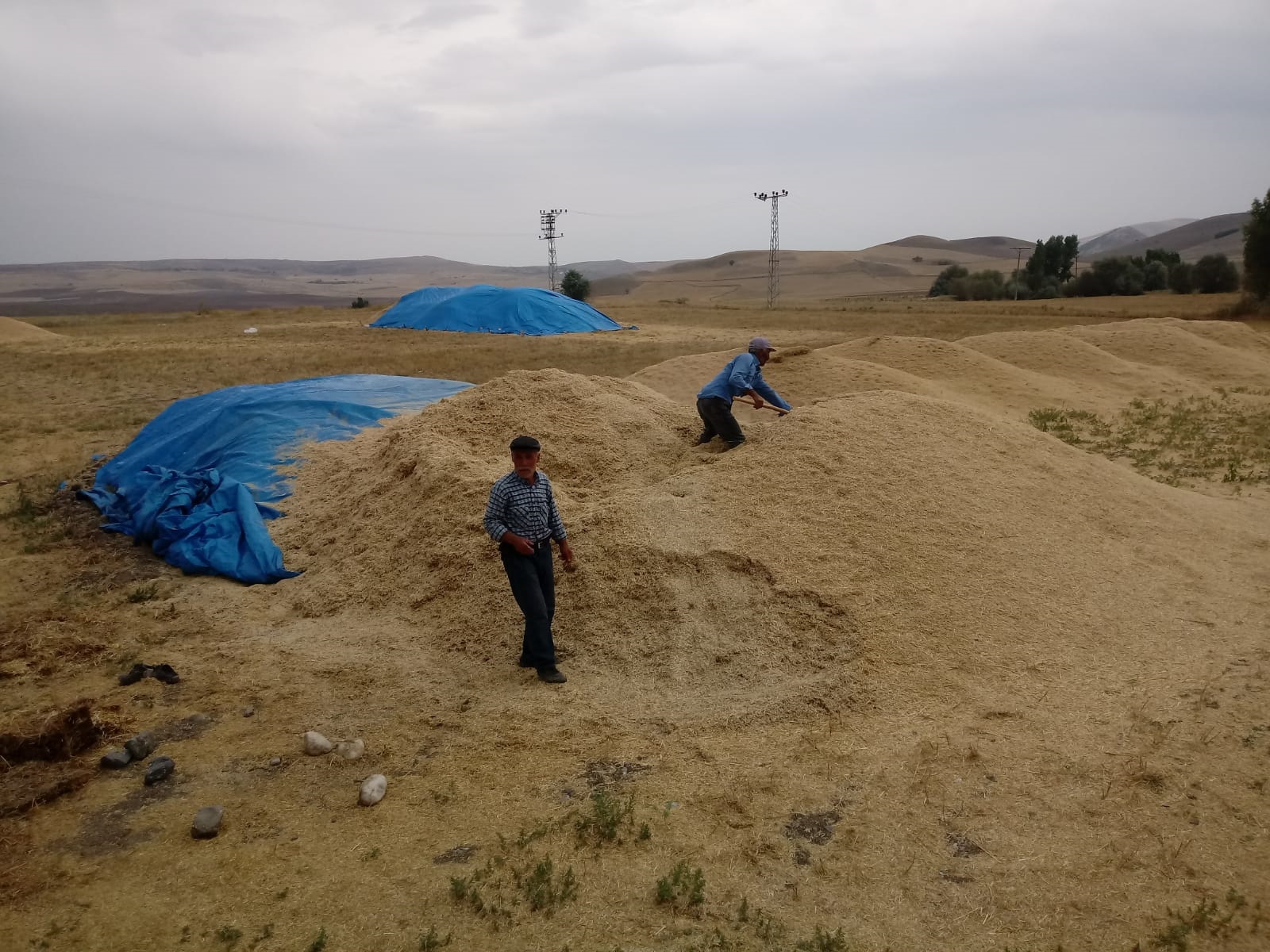 Türkiye’nin önemli tarım merkezlerinden biri olan Yozgat’ta çiftçiler, ellerindeki fazlalık