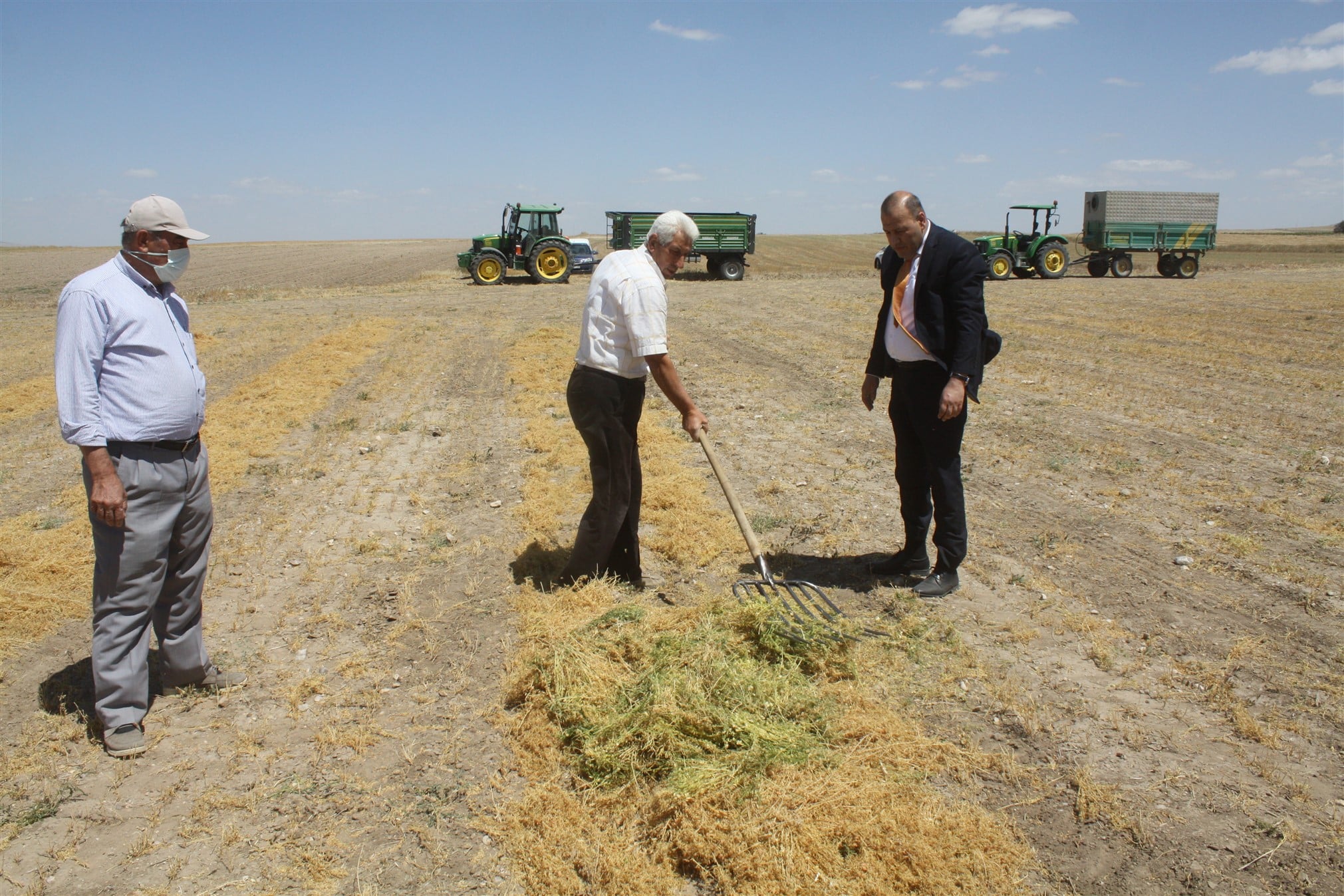 Türkiye’nin önemli tarım merkezlerinden biri olan Yozgat’ta yeşil mercimek hasadı