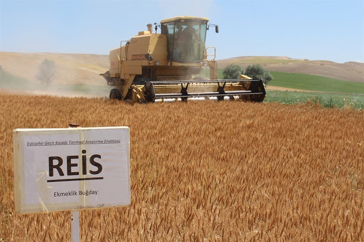 Yozgat İl Tarım ve Orman Müdürü Tanju Özkaya, Yerli ve