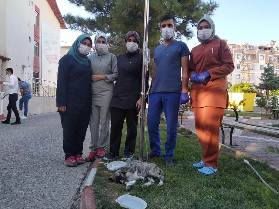 Yerköy Devlet Hastanesi sağlık çalışanları hastane bahçesinde hasta yavru köpeğe