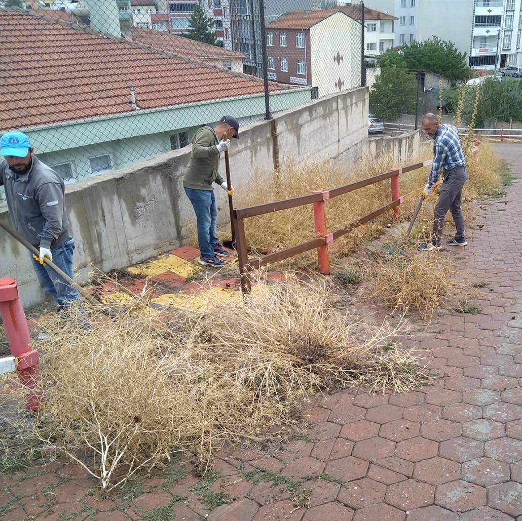 Sarıkaya Belediyesi tarafından Sonbahar aylarının girmesiyle birlikte belediye temizlik işçileri
