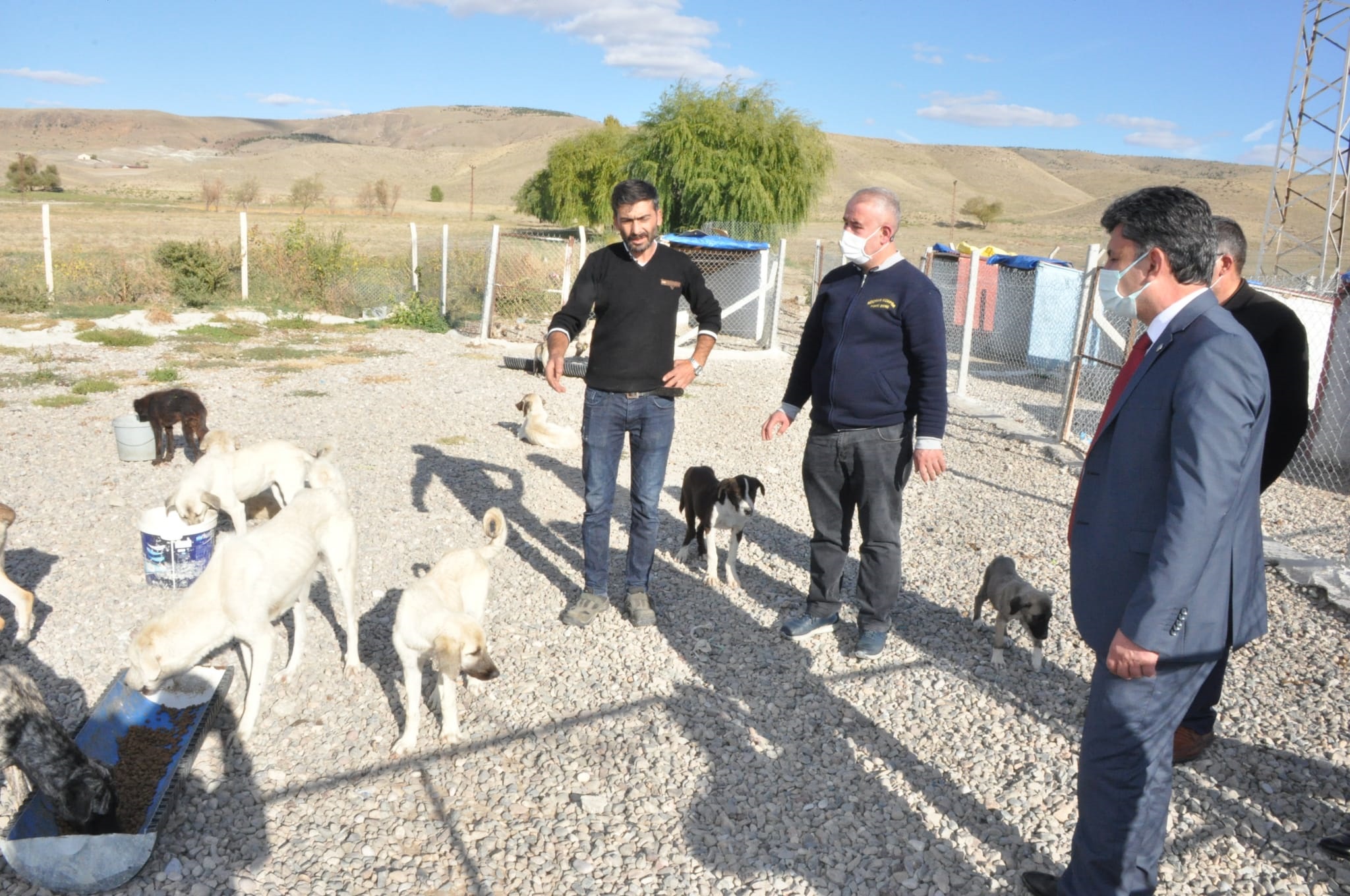 Yerköy Belediye Başkanı Ferhat Yılmaz, her canlıya şefkat gösterilmesi gerektiğini,