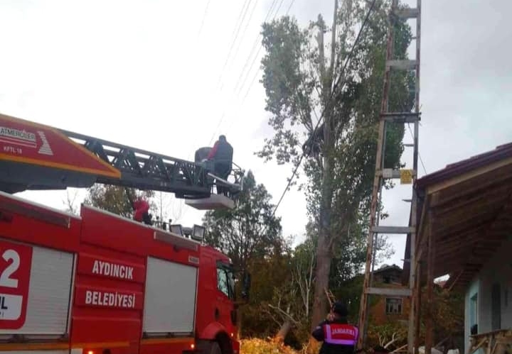 Yozgat’ın Aydıncık ilçesine bağlı Kösrelik köyünde İsmet Çeltek isimli vatandaş,