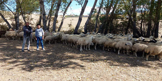 Yozgat İşkur İl Müdürlüğü, engelli vatandaşların, istihdam edilebilirliklerinin önündeki engellerin