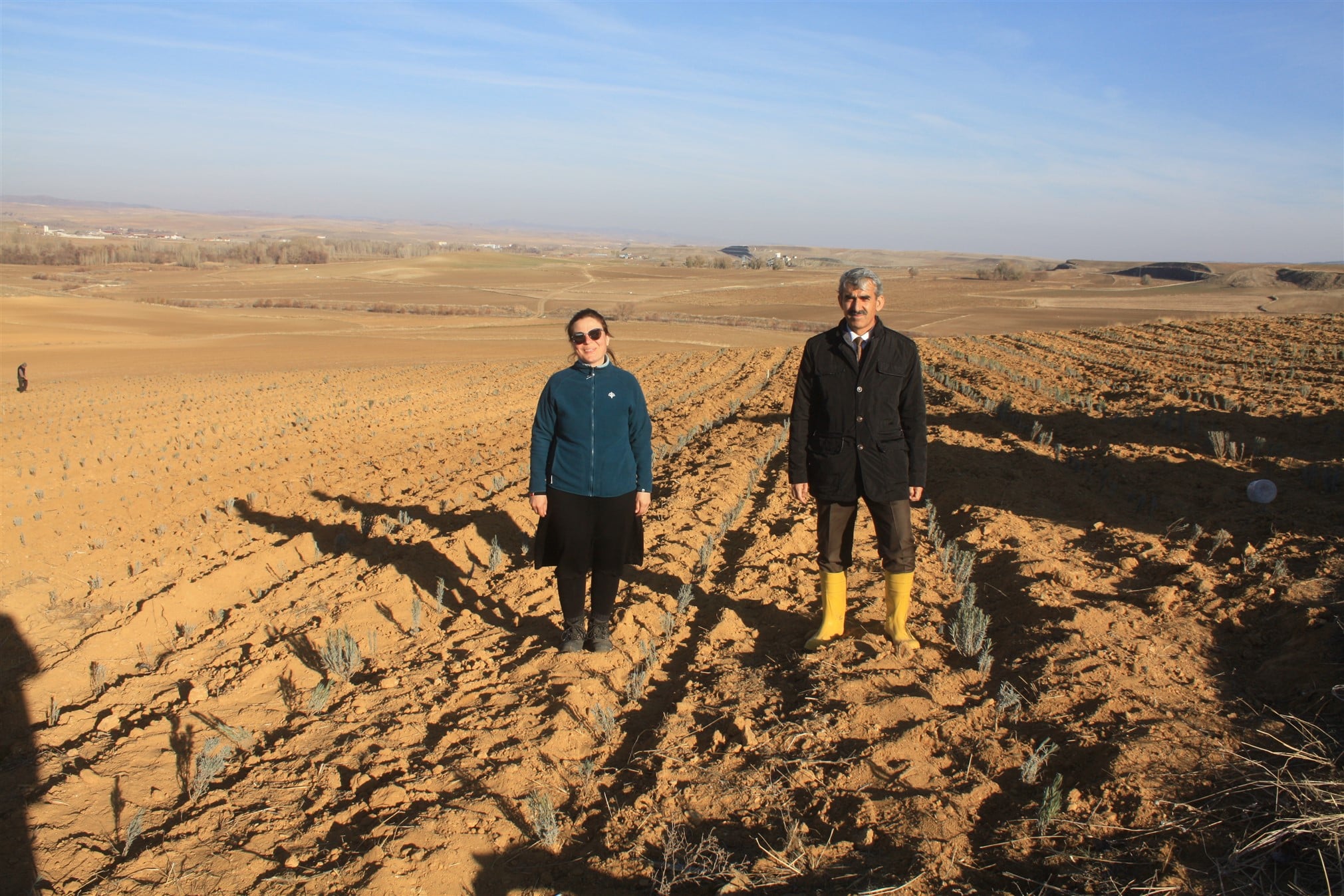 Fransa’dan gelerek memleketi Yozgat’ın Sorgun İlçesine bağlı Büyüktaşlık Köyünde lavanta