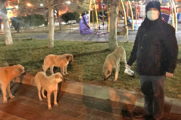 Yerköy Hayvanlar için Yaşam ve Adalet Derneği (HİYADER) Gönüllü Besleme