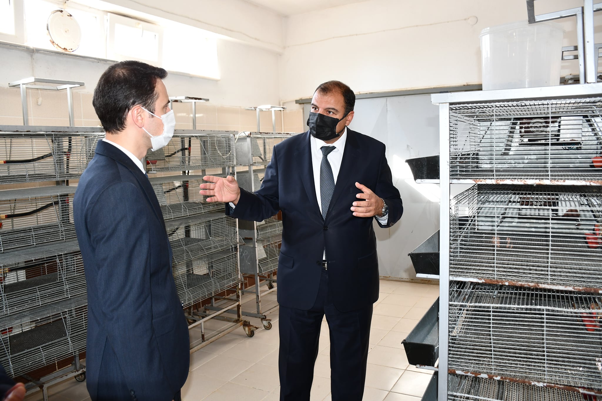 Yaz döneminde keneyle mücadele için yüzlerce kınalı keklik, Saraykent'te doğaya