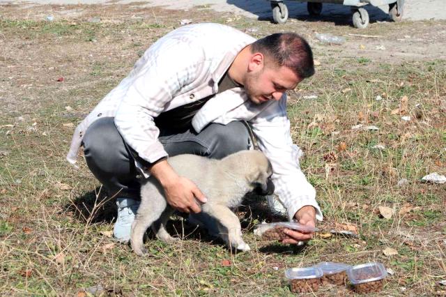 Yozgat’ın Sorgun İlçesinde esnaflık yapan Selim Esmek isimli iş yeri