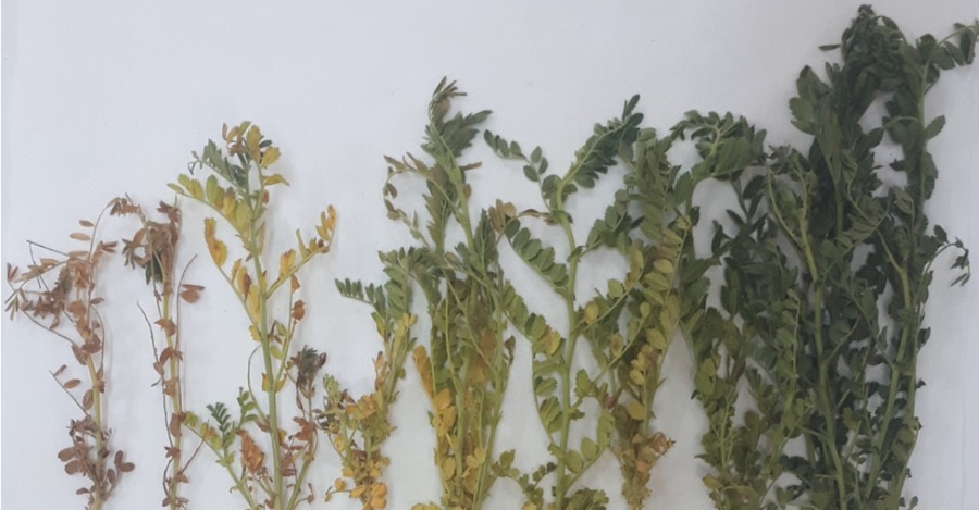 Yozgat Bozok Üniversitesi öğretim üyeleri tarafından 221O532 Nolu TÜBİTAK-1002 Hızlı