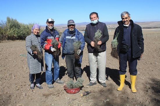 Yozgat’ın sorgun ve Şefaatli İlçelerinde Tarım ve orman İl Müdürlüğü