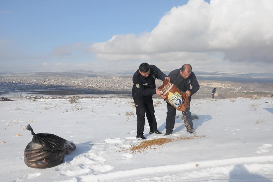 Sorgun’da etkili olan kar yağışının ardından yiyecek bulmakta güçlük çeken