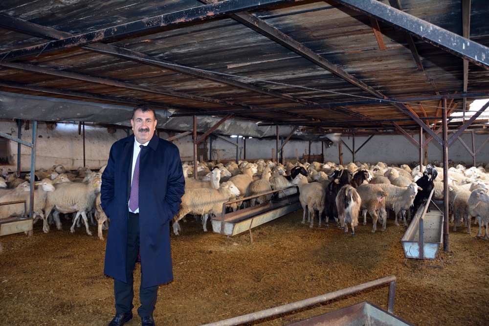 Türkiye Damızlık Koyun Keçi Yetiştiricileri Merkez Birliği (TÜDKİYEB) Genel Başkanı