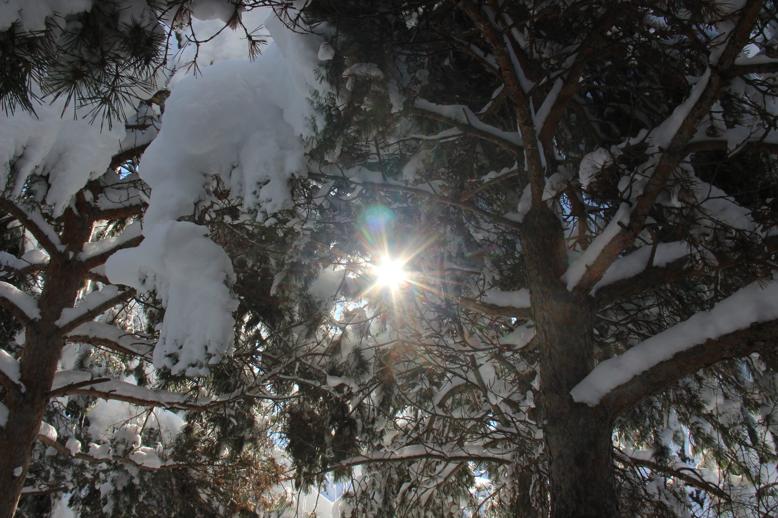 Yozgat’ta son 10 yılın en yoğun karı yağışının yaşanmasıyla ilde