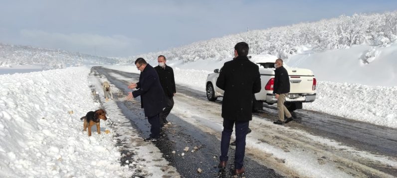 Çekerek Belediyesi kar temizleme çalışmalarını sürdürüyor