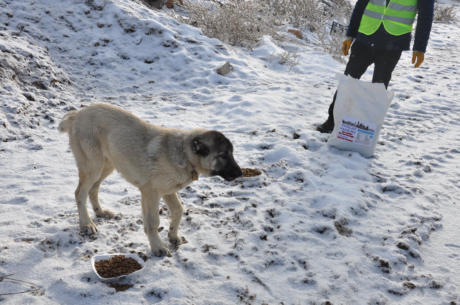 Köylerde yol açma çalışmalarını sürdüren Yozgat İl Özel İdaresi karla