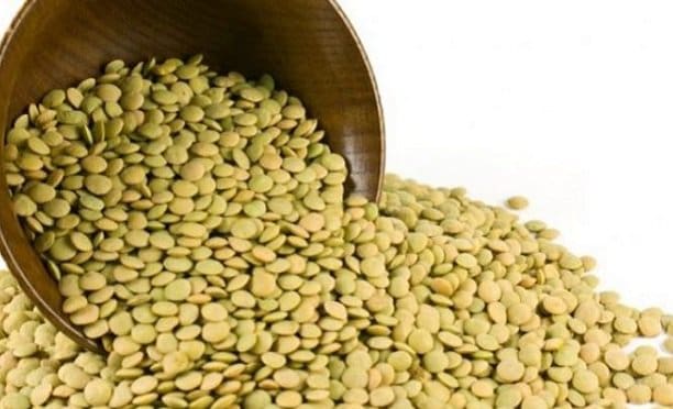 Sarıkaya Belediyesi tarafından ilçede yeşil mercimek üretiminin artırılması ve yaygınlaştırılması