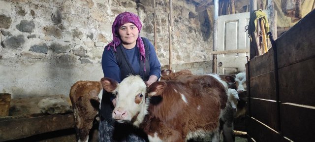 Çekerek İlçesine bağlı Koyunculu köyünde hayvancılıkla geçimini sağ Tuğba ve