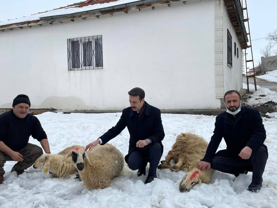 Saraykent Kaymakamlığı Aşevi Projesine, 10 günde 12 adet koyun bağışı