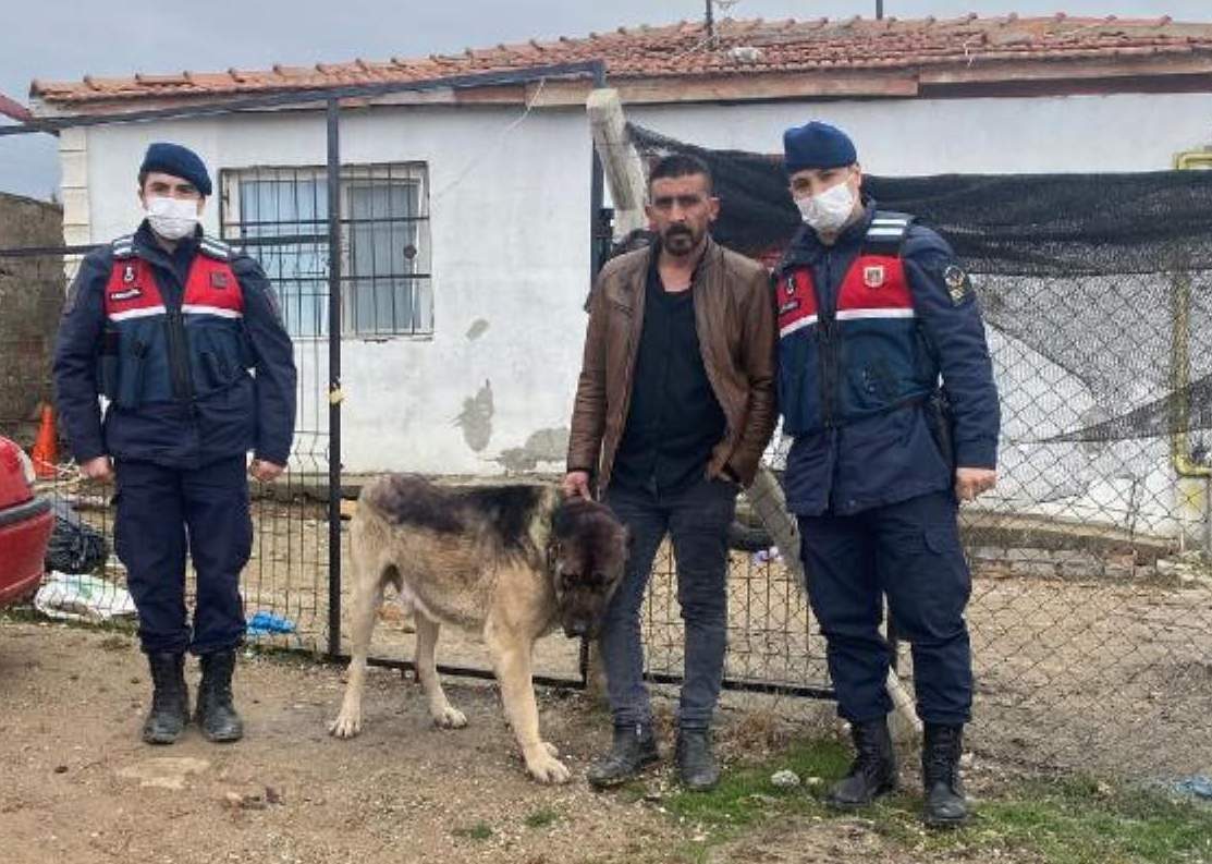 Kırıkkale’de çaldığı köpeği siyaha boyayarak Yozgat’ta ki kardeşine götüren şüpheli